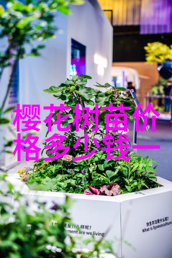 球球多肉怎样养护 橘子球多肉寓意