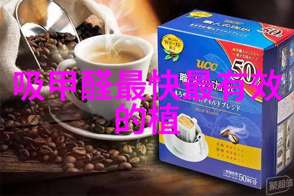 广州多肉植物养护指南从新手到专家的全方位攻略